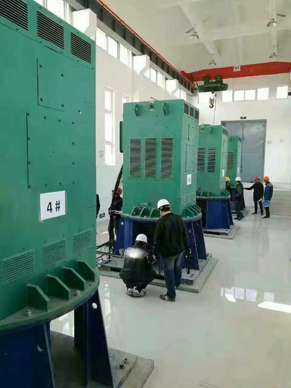 长宁某污水处理厂使用我厂的立式高压电机安装现场